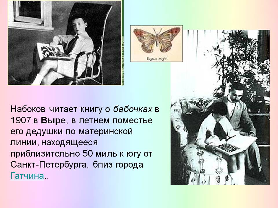 Набоков читает книгу о бабочках в 1907 в Выре