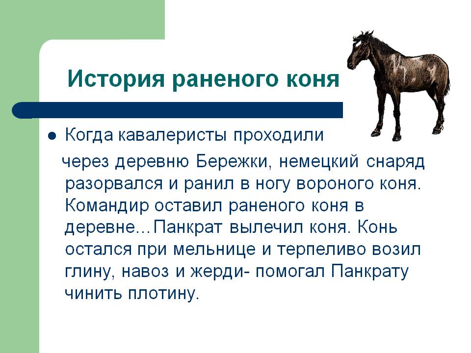 История раненого коня