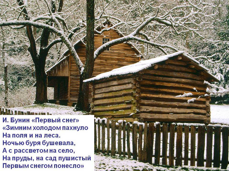 И. Бунин «Первый снег»