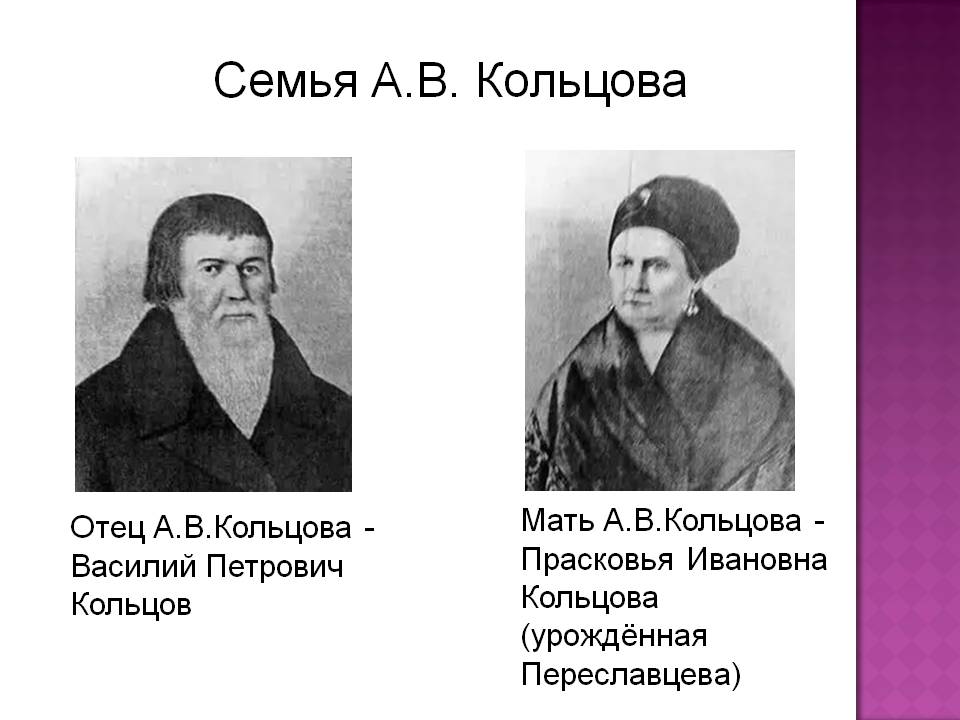 Семья А.В. Кольцова