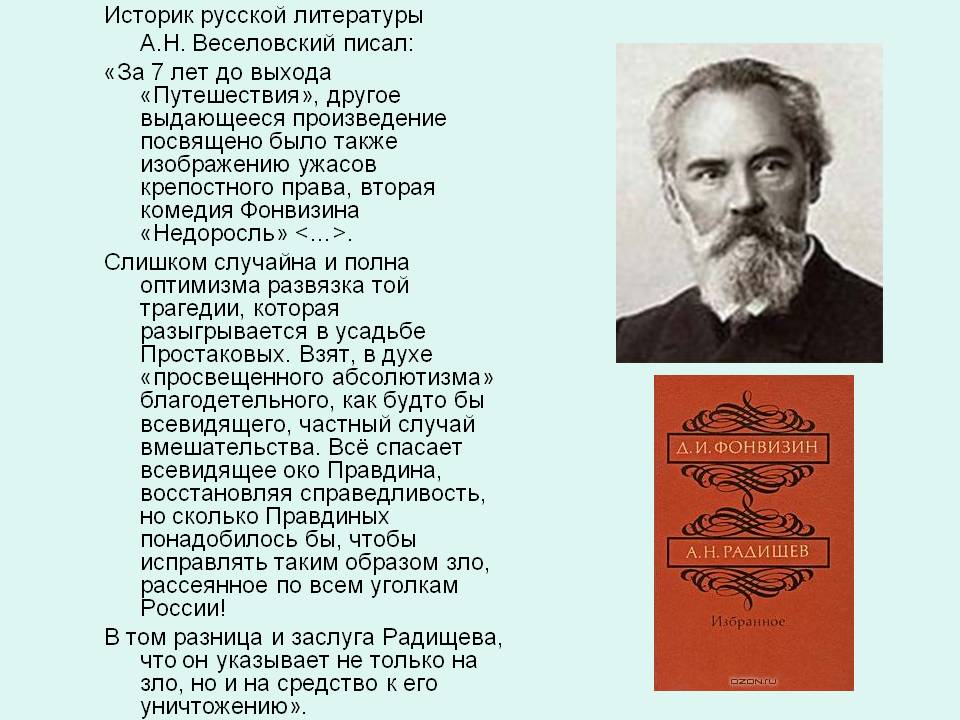 Историк русской литературы