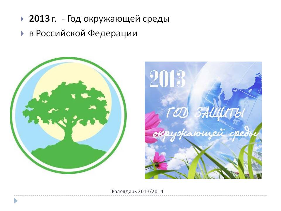 2013 г. - год окружающей среды в Российской Федерации