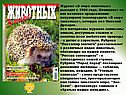Журнал «В мире животных» выходит с 1998 года