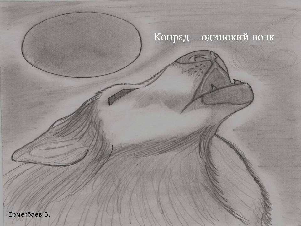 Конрад — одинокий волк