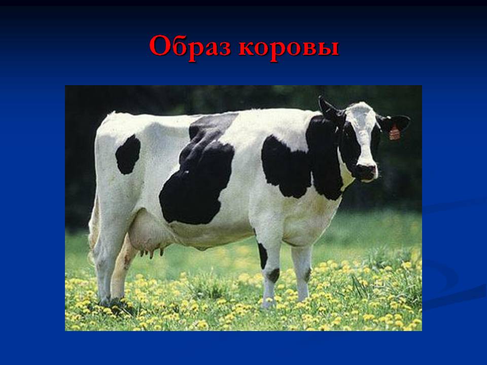 Образ коровы