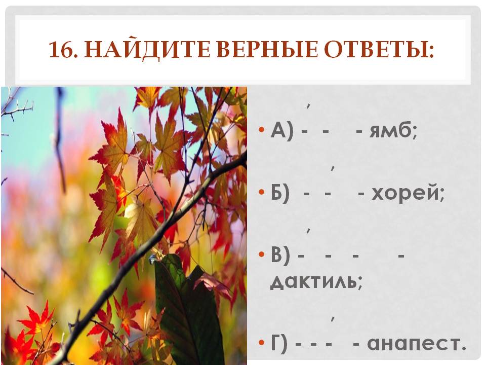 Найдите верные ответы