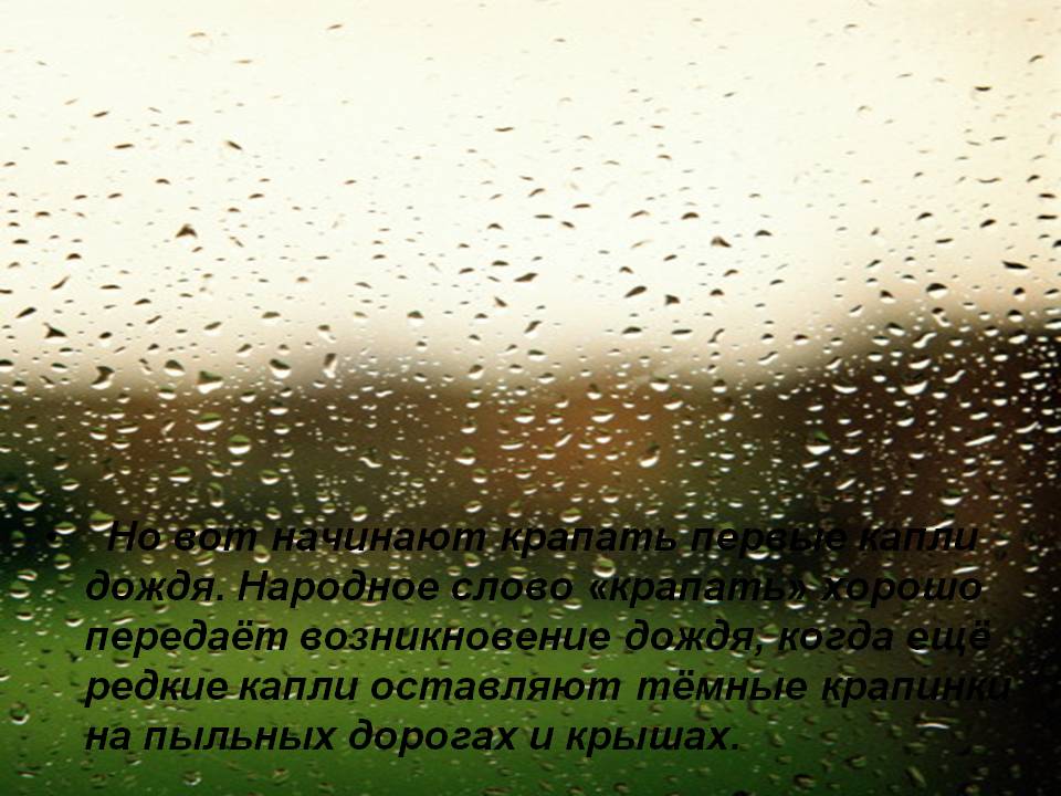 Тени дождя текст