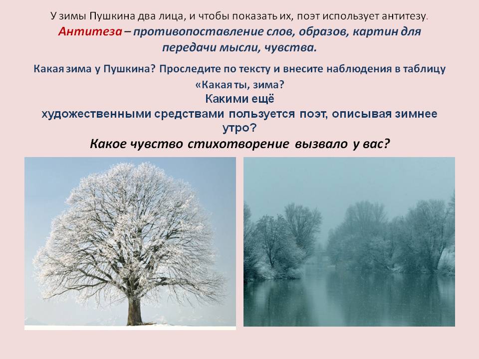 У зимы Пушкина два лица, и чтобы показать их, поэт использует антитезу