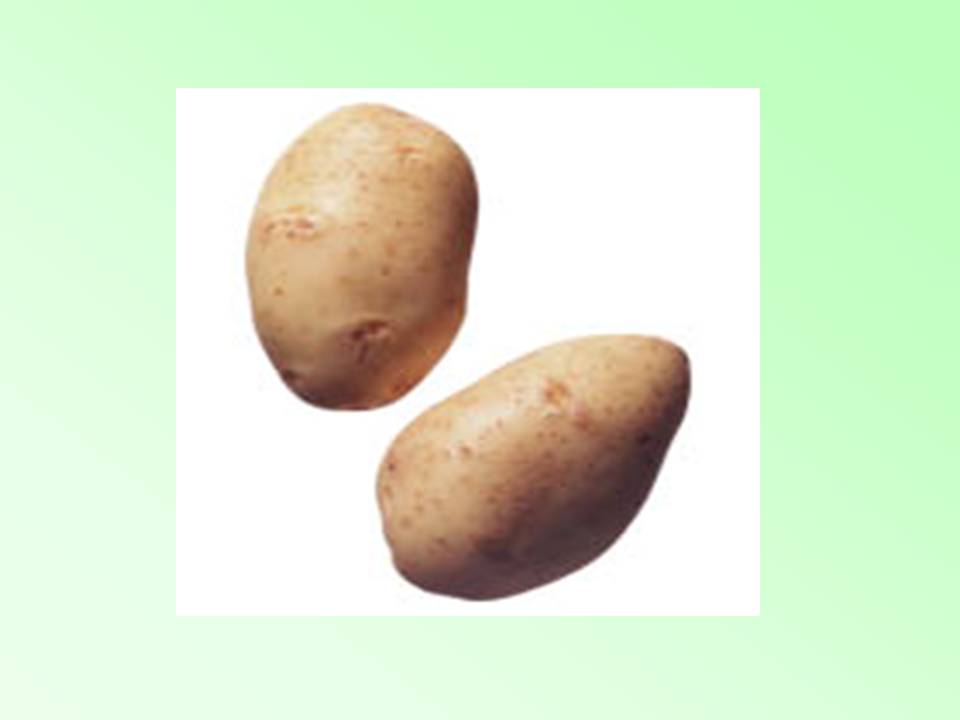 Загадки про овощи картошка. Картошка горох. Картошка горох даренная. Картошка капуста морковка горох петрушка и свекла. Что вперед капусту или картошку